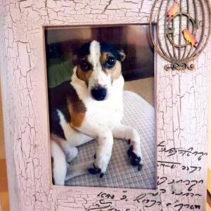 Hazlo_Tu_Manualidades_Barcelona_Decoupage_Portarretratos_1